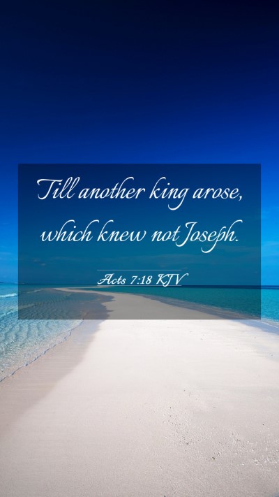 Picture 03 - Acts 7:18 KJV Mobile Phone Wallpaper - Till another king arose, which knew not - Mobile Bible Verse Wallpaper