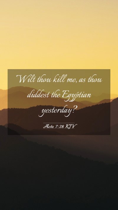 Picture 03 - Acts 7:28 KJV Mobile Phone Wallpaper - Wilt thou kill me, as thou diddest the Egyptian - Mobile Bible Verse Wallpaper