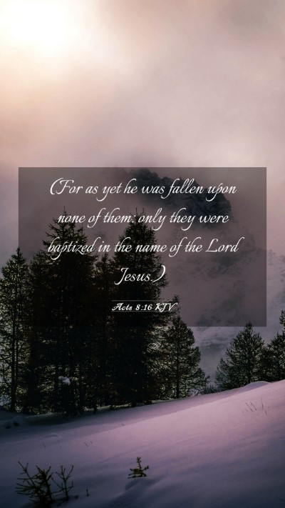 Picture 03 - Acts 8:16 KJV Mobile Phone Wallpaper - (For as yet he was fallen upon none of them: only - Mobile Bible Verse Wallpaper