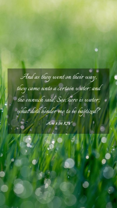 Picture 03 - Acts 8:36 KJV Mobile Phone Wallpaper - And as they went on their way, they came unto a - Mobile Bible Verse Wallpaper