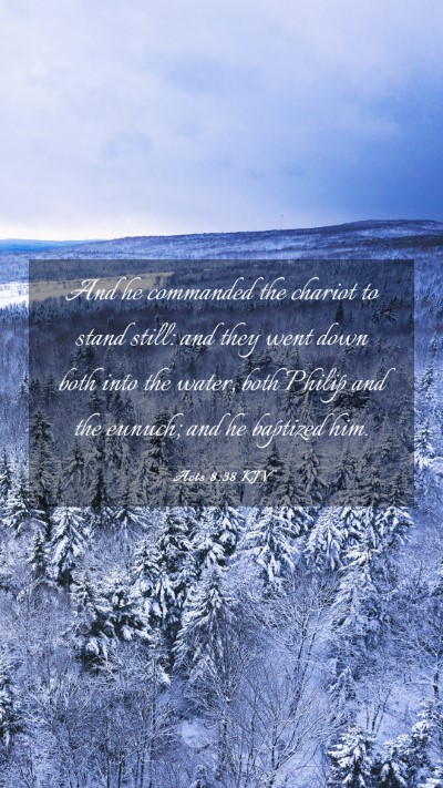 Picture 03 - Acts 8:38 KJV Mobile Phone Wallpaper - And he commanded the chariot to stand still: and - Mobile Bible Verse Wallpaper