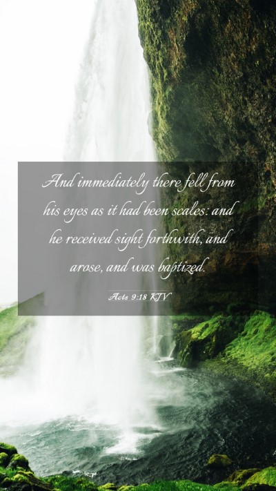 Picture 03 - Acts 9:18 KJV Mobile Phone Wallpaper - And immediately there fell from his eyes as it - Mobile Bible Verse Wallpaper