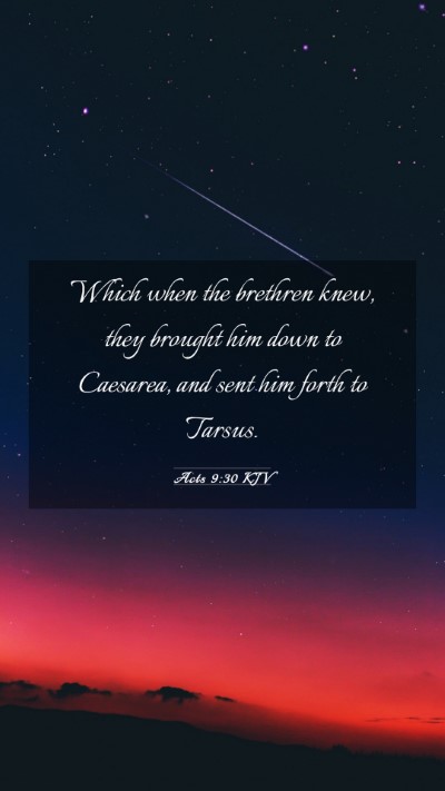 Picture 03 - Acts 9:30 KJV Mobile Phone Wallpaper - Which when the brethren knew, they brought him - Mobile Bible Verse Wallpaper