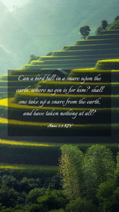 Picture 03 - Amos 3:5 KJV Mobile Phone Wallpaper - Can a bird fall in a snare upon the earth, where - Mobile Bible Verse Wallpaper
