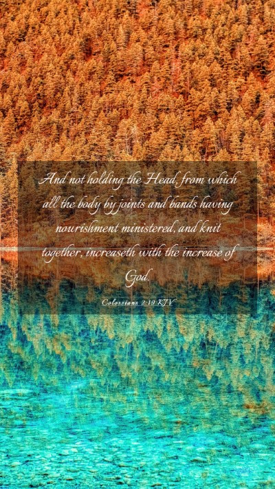 Picture 03 - Colossians 2:19 KJV Mobile Phone Wallpaper - And not holding the Head, from which all the body - Mobile Bible Verse Wallpaper