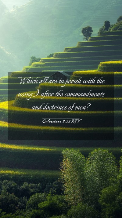 Picture 03 - Colossians 2:22 KJV Mobile Phone Wallpaper - Which all are to perish with the using;) after - Mobile Bible Verse Wallpaper