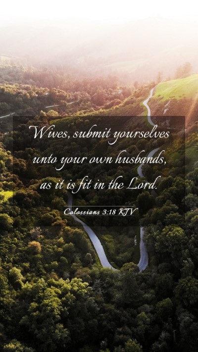 Picture 03 - Colossians 3:18 KJV Mobile Phone Wallpaper - Wives, submit yourselves unto your own husbands, - Mobile Bible Verse Wallpaper
