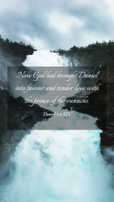 Picture 03 - Daniel 1:9 KJV Mobile Phone Wallpaper - Now God had brought Daniel into favour and tender - Mobile Bible Verse Wallpaper