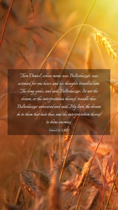 Picture 03 - Daniel 4:19 KJV Mobile Phone Wallpaper - Then Daniel, whose name was Belteshazzar, was - Mobile Bible Verse Wallpaper