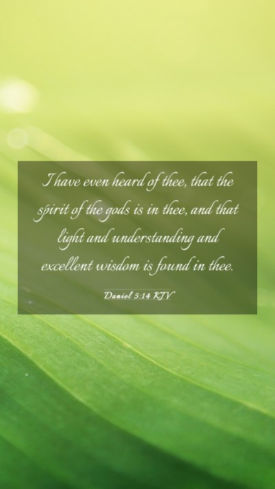 Picture 03 - Daniel 5:14 KJV Mobile Phone Wallpaper - I have even heard of thee, that the spirit of the - Mobile Bible Verse Wallpaper