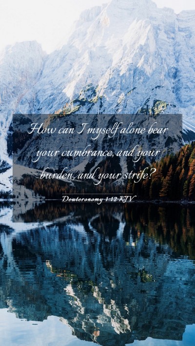 Picture 03 - Deuteronomy 1:12 KJV Mobile Phone Wallpaper - How can I myself alone bear your cumbrance, and - Mobile Bible Verse Wallpaper