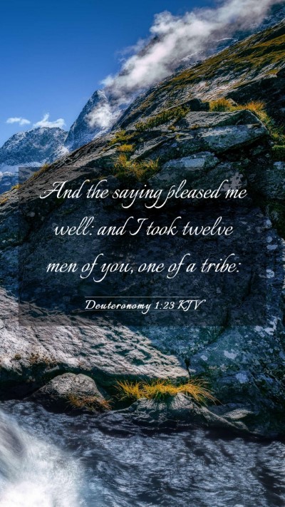 Picture 03 - Deuteronomy 1:23 KJV Mobile Phone Wallpaper - And the saying pleased me well: and I took twelve - Mobile Bible Verse Wallpaper