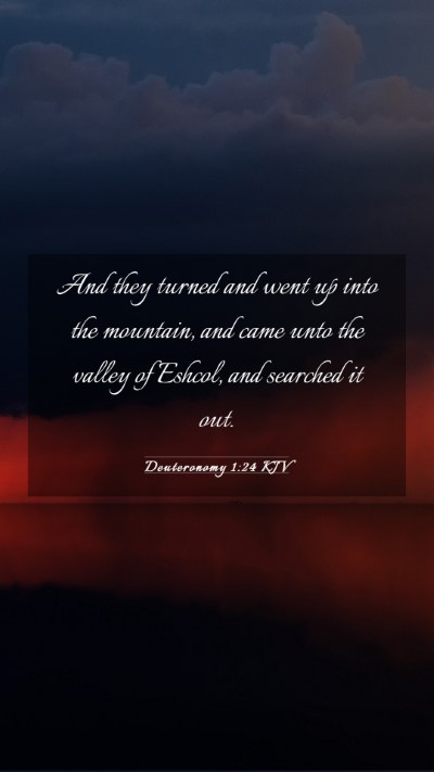 Picture 03 - Deuteronomy 1:24 KJV Mobile Phone Wallpaper - And they turned and went up into the mountain, - Mobile Bible Verse Wallpaper