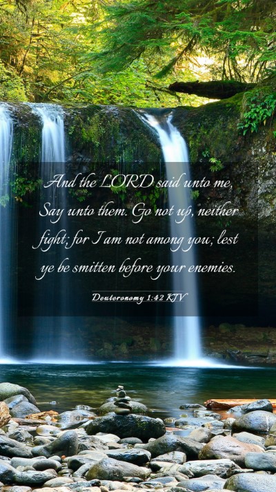 Picture 03 - Deuteronomy 1:42 KJV Mobile Phone Wallpaper - And the LORD said unto me, Say unto them. Go not - Mobile Bible Verse Wallpaper