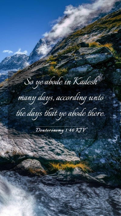 Picture 03 - Deuteronomy 1:46 KJV Mobile Phone Wallpaper - So ye abode in Kadesh many days, according unto - Mobile Bible Verse Wallpaper