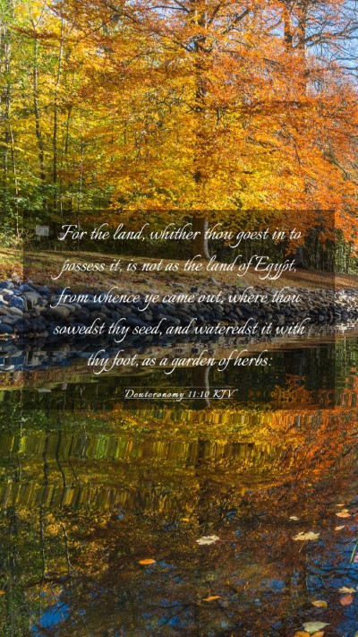 Picture 03 - Deuteronomy 11:10 KJV Mobile Phone Wallpaper - For the land, whither thou goest in to possess - Mobile Bible Verse Wallpaper