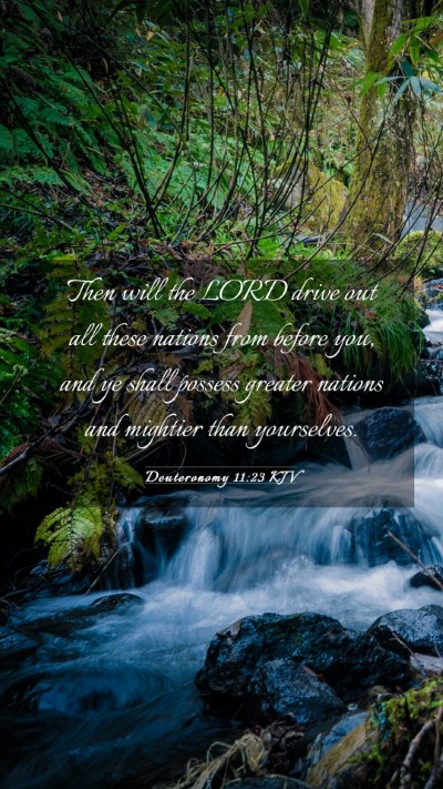 Picture 03 - Deuteronomy 11:23 KJV Mobile Phone Wallpaper - Then will the LORD drive out all these nations - Mobile Bible Verse Wallpaper