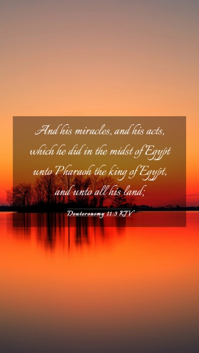 Picture 03 - Deuteronomy 11:3 KJV Mobile Phone Wallpaper - And his miracles, and his acts, which he did in - Mobile Bible Verse Wallpaper