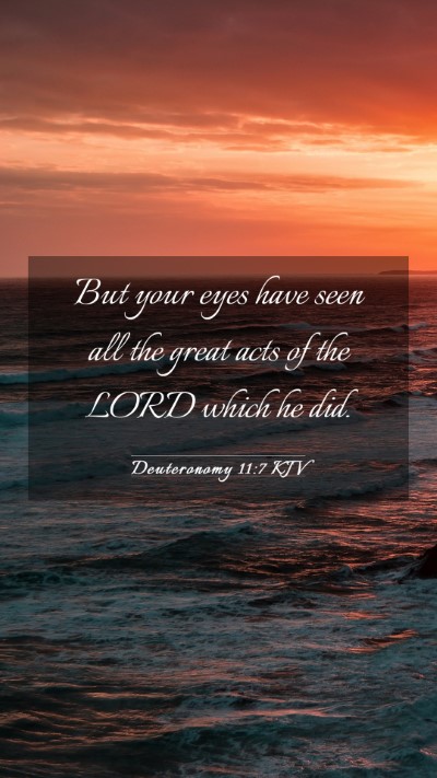 Picture 03 - Deuteronomy 11:7 KJV Mobile Phone Wallpaper - But your eyes have seen all the great acts of the - Mobile Bible Verse Wallpaper