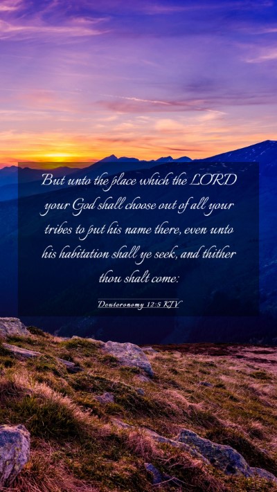 Picture 03 - Deuteronomy 12:5 KJV Mobile Phone Wallpaper - But unto the place which the LORD your God shall - Mobile Bible Verse Wallpaper
