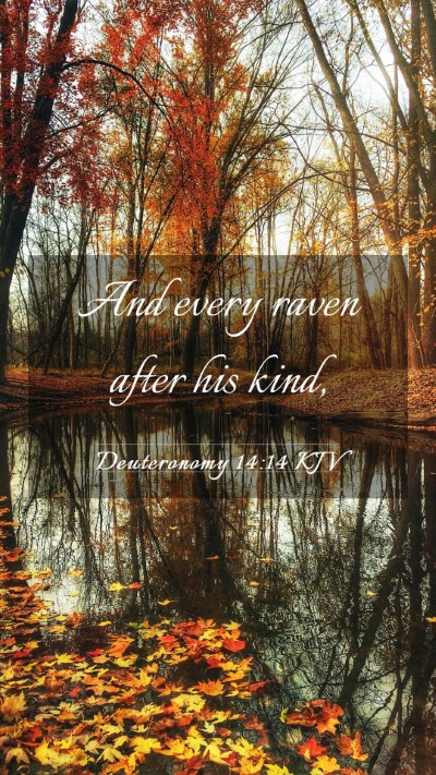 Picture 03 - Deuteronomy 14:14 KJV Mobile Phone Wallpaper - And every raven after his - Mobile Bible Verse Wallpaper