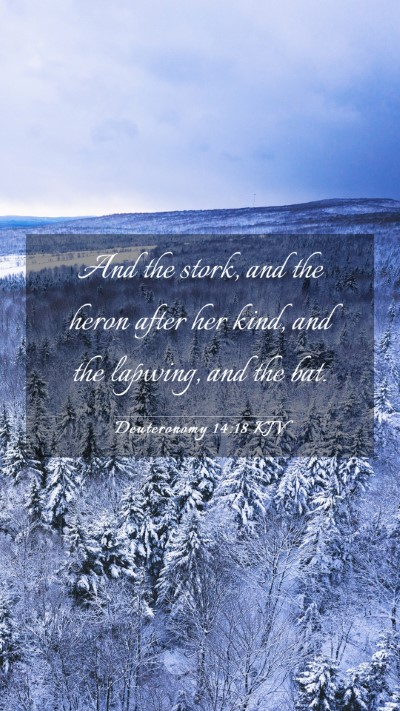 Picture 03 - Deuteronomy 14:18 KJV Mobile Phone Wallpaper - And the stork, and the heron after her kind, and - Mobile Bible Verse Wallpaper