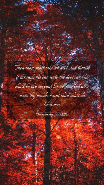 Picture 03 - Deuteronomy 15:17 KJV Mobile Phone Wallpaper - Then thou shalt take an awl, and thrust it - Mobile Bible Verse Wallpaper