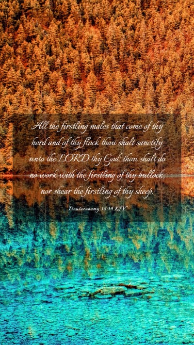 Picture 03 - Deuteronomy 15:19 KJV Mobile Phone Wallpaper - All the firstling males that come of thy herd and - Mobile Bible Verse Wallpaper