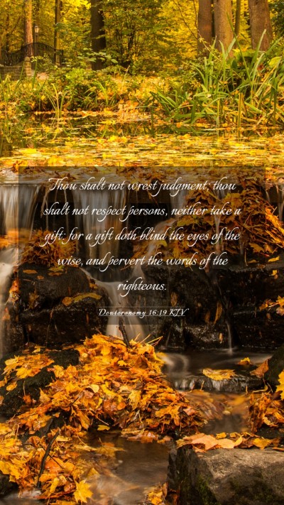 Picture 03 - Deuteronomy 16:19 KJV Mobile Phone Wallpaper - Thou shalt not wrest judgment; thou shalt not - Mobile Bible Verse Wallpaper