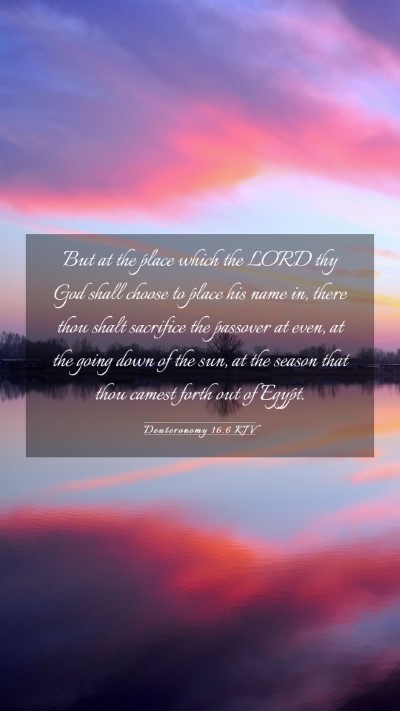 Picture 03 - Deuteronomy 16:6 KJV Mobile Phone Wallpaper - But at the place which the LORD thy God shall - Mobile Bible Verse Wallpaper