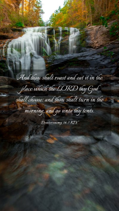 Picture 03 - Deuteronomy 16:7 KJV Mobile Phone Wallpaper - And thou shalt roast and eat it in the place - Mobile Bible Verse Wallpaper