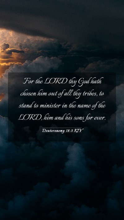 Picture 03 - Deuteronomy 18:5 KJV Mobile Phone Wallpaper - For the LORD thy God hath chosen him out of all - Mobile Bible Verse Wallpaper