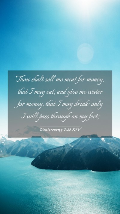 Picture 03 - Deuteronomy 2:28 KJV Mobile Phone Wallpaper - Thou shalt sell me meat for money, that I may - Mobile Bible Verse Wallpaper