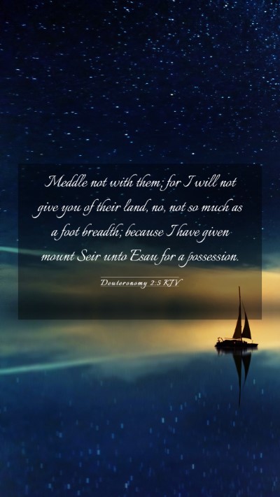 Picture 03 - Deuteronomy 2:5 KJV Mobile Phone Wallpaper - Meddle not with them; for I will not give you of - Mobile Bible Verse Wallpaper