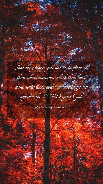 Picture 03 - Deuteronomy 20:18 KJV Mobile Phone Wallpaper - That they teach you not to do after all their - Mobile Bible Verse Wallpaper
