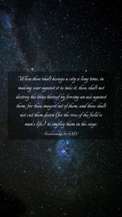 Picture 03 - Deuteronomy 20:19 KJV Mobile Phone Wallpaper - When thou shalt besiege a city a long time, in - Mobile Bible Verse Wallpaper