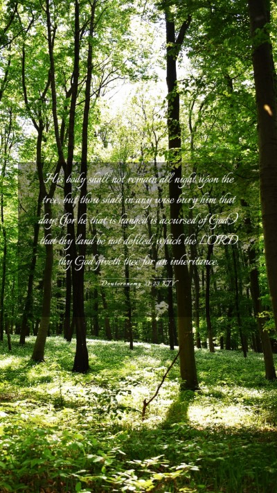 Picture 03 - Deuteronomy 21:23 KJV Mobile Phone Wallpaper - His body shall not remain all night upon the - Mobile Bible Verse Wallpaper