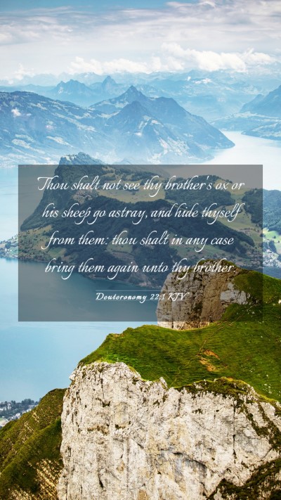 Picture 03 - Deuteronomy 22:1 KJV Mobile Phone Wallpaper - Thou shalt not see thy brother's ox or his sheep - Mobile Bible Verse Wallpaper