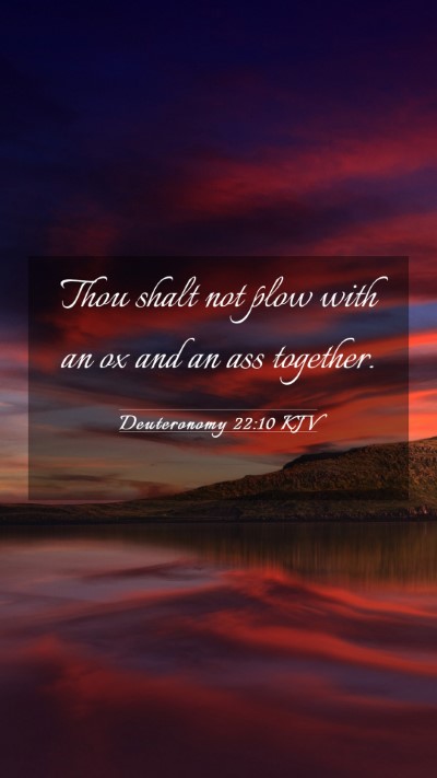 Picture 03 - Deuteronomy 22:10 KJV Mobile Phone Wallpaper - Thou shalt not plow with an ox and an ass - Mobile Bible Verse Wallpaper