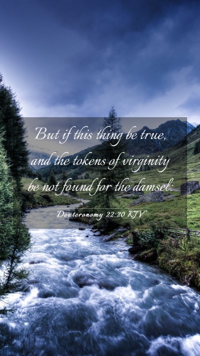 Picture 03 - Deuteronomy 22:20 KJV Mobile Phone Wallpaper - But if this thing be true, and the tokens of - Mobile Bible Verse Wallpaper