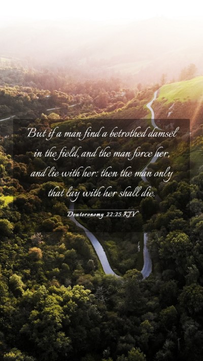 Picture 03 - Deuteronomy 22:25 KJV Mobile Phone Wallpaper - But if a man find a betrothed damsel in the - Mobile Bible Verse Wallpaper