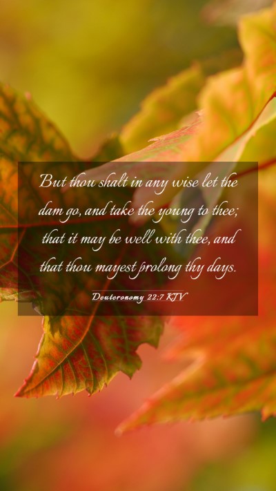 Picture 03 - Deuteronomy 22:7 KJV Mobile Phone Wallpaper - But thou shalt in any wise let the dam go, and - Mobile Bible Verse Wallpaper