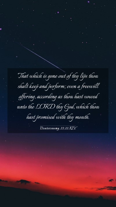 Picture 03 - Deuteronomy 23:23 KJV Mobile Phone Wallpaper - That which is gone out of thy lips thou shalt - Mobile Bible Verse Wallpaper