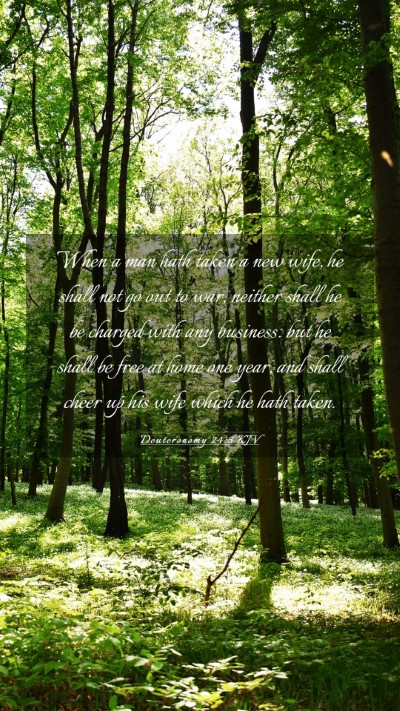 Picture 03 - Deuteronomy 24:5 KJV Mobile Phone Wallpaper - When a man hath taken a new wife, he shall not go - Mobile Bible Verse Wallpaper