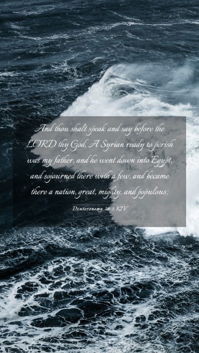 Picture 03 - Deuteronomy 26:5 KJV Mobile Phone Wallpaper - And thou shalt speak and say before the LORD thy - Mobile Bible Verse Wallpaper
