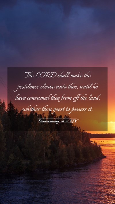 Picture 03 - Deuteronomy 28:21 KJV Mobile Phone Wallpaper - The LORD shall make the pestilence cleave unto - Mobile Bible Verse Wallpaper