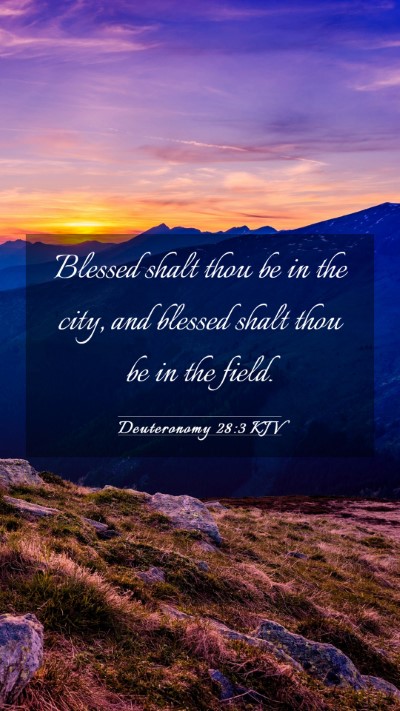 Picture 03 - Deuteronomy 28:3 KJV Mobile Phone Wallpaper - Blessed shalt thou be in the city, and blessed - Mobile Bible Verse Wallpaper
