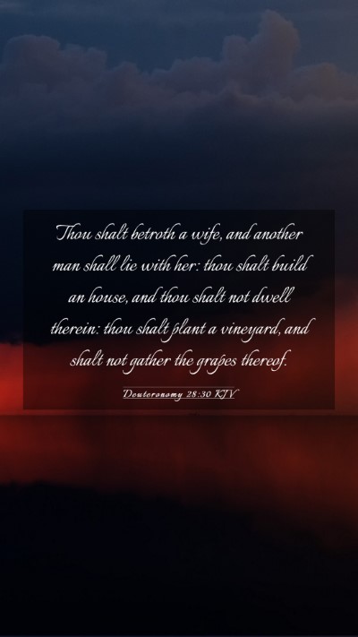 Picture 03 - Deuteronomy 28:30 KJV Mobile Phone Wallpaper - Thou shalt betroth a wife, and another man shall - Mobile Bible Verse Wallpaper