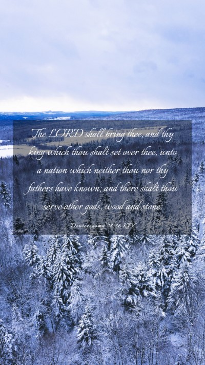 Picture 03 - Deuteronomy 28:36 KJV Mobile Phone Wallpaper - The LORD shall bring thee, and thy king which - Mobile Bible Verse Wallpaper
