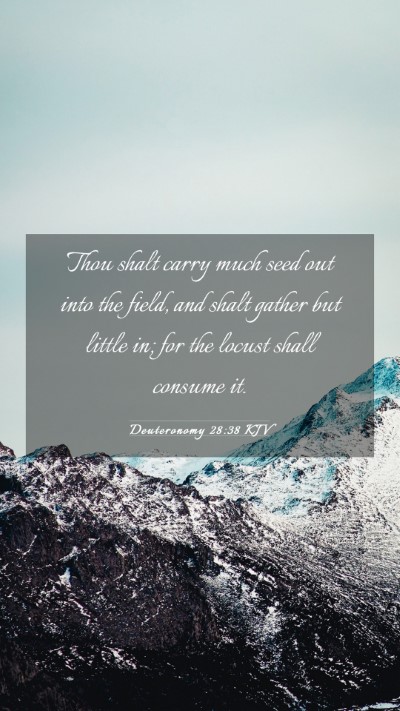 Picture 03 - Deuteronomy 28:38 KJV Mobile Phone Wallpaper - Thou shalt carry much seed out into the field, - Mobile Bible Verse Wallpaper
